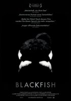 Blackfish - Plakat zum Film