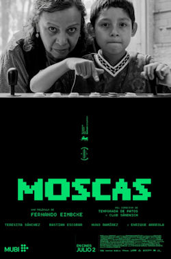 Moscas - Plakat zum Film